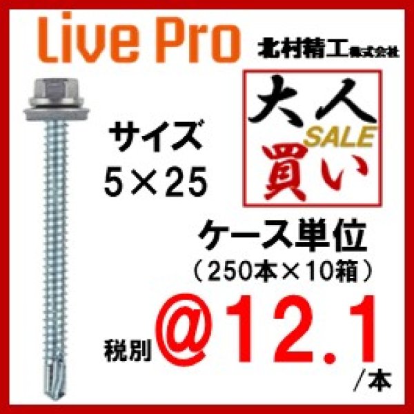 画像1: 140-5025　ステンレスキャップ六角AZ付き　5×25　（250本×10箱） (1)